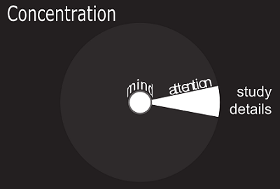 Figure 5.1: Concentration of attention
